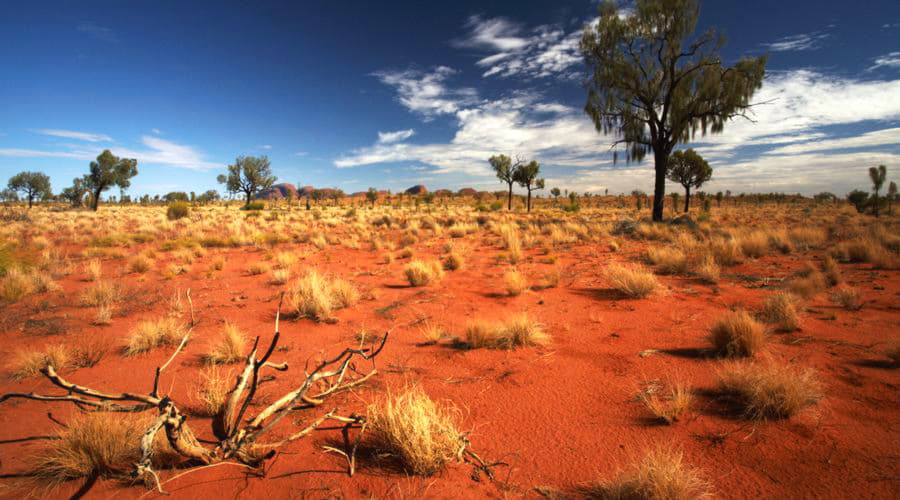 Le migliori offerte di noleggio auto a Yulara